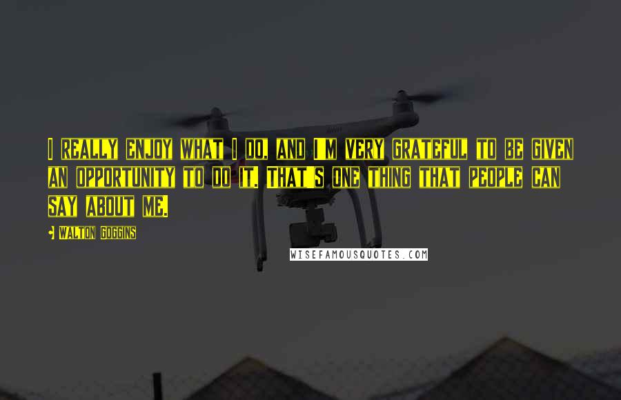 Walton Goggins quotes: I really enjoy what I do, and I'm very grateful to be given an opportunity to do it. That's one thing that people can say about me.