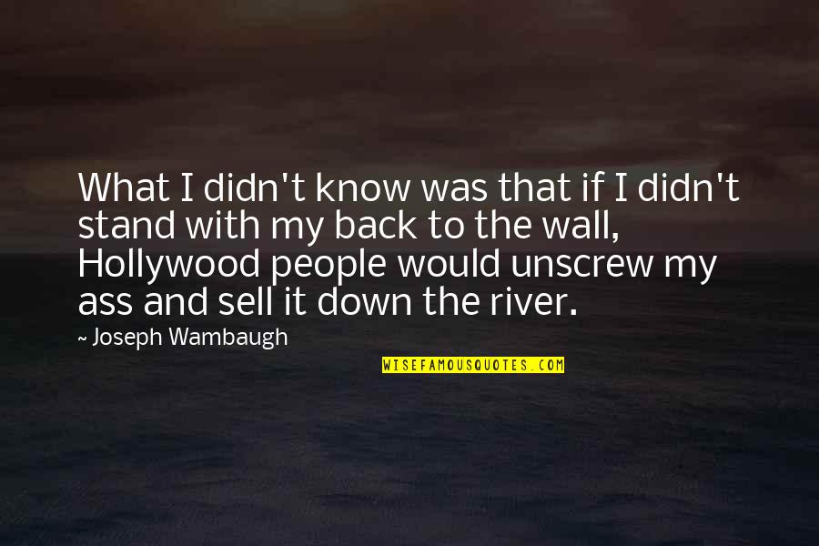 Wambaugh Quotes By Joseph Wambaugh: What I didn't know was that if I