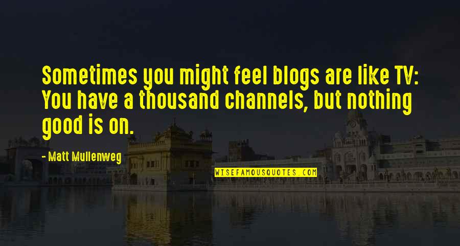 Wananikwe Quotes By Matt Mullenweg: Sometimes you might feel blogs are like TV: Wananikwe Quotes By Matt Mullenweg: Sometimes you might feel blogs are like TV: