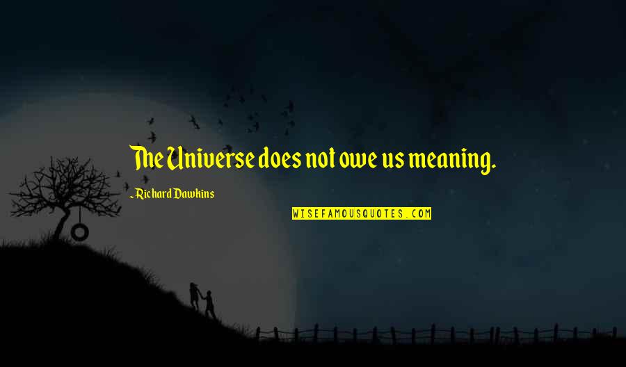 Wananikwe Quotes By Richard Dawkins: The Universe does not owe us meaning. Wananikwe Quotes By Richard Dawkins: The Universe does not owe us meaning.