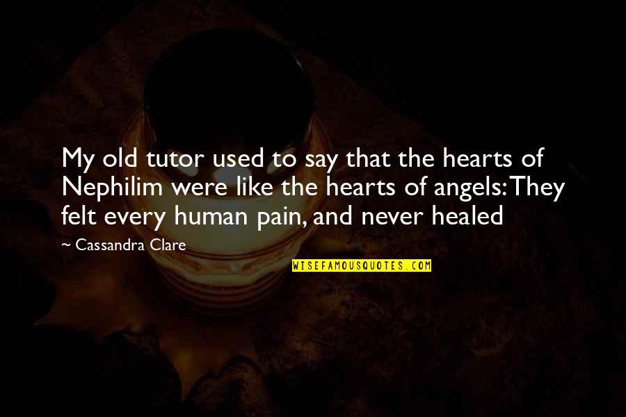 Wandalloo Quotes By Cassandra Clare: My old tutor used to say that the Wandalloo Quotes By Cassandra Clare: My old tutor used to say that the