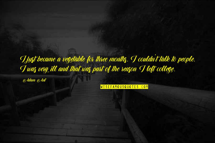 Wandel Quotes By Adam Ant: I just became a vegetable for three months.