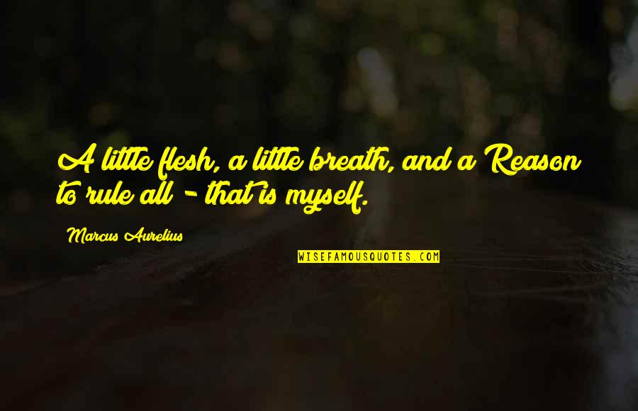 Wanden Treanor Quotes By Marcus Aurelius: A little flesh, a little breath, and a