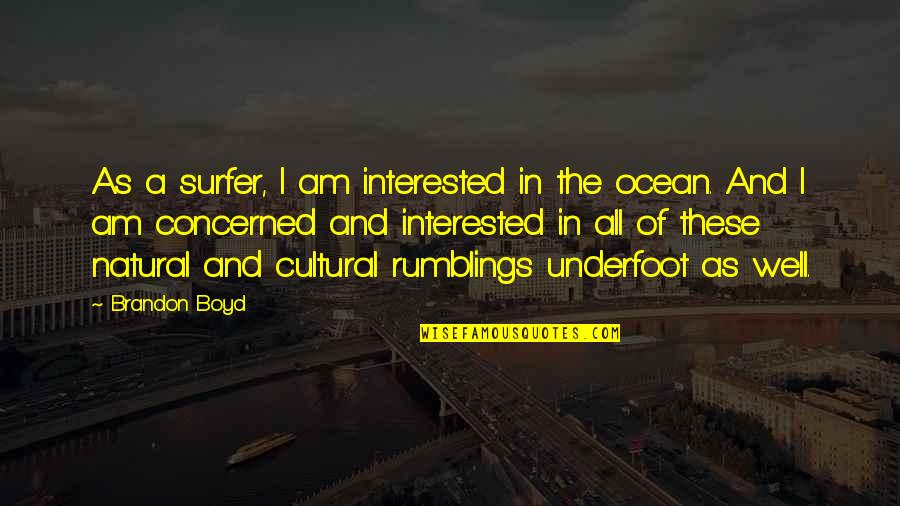 Wanderers Rest Quotes By Brandon Boyd: As a surfer, I am interested in the