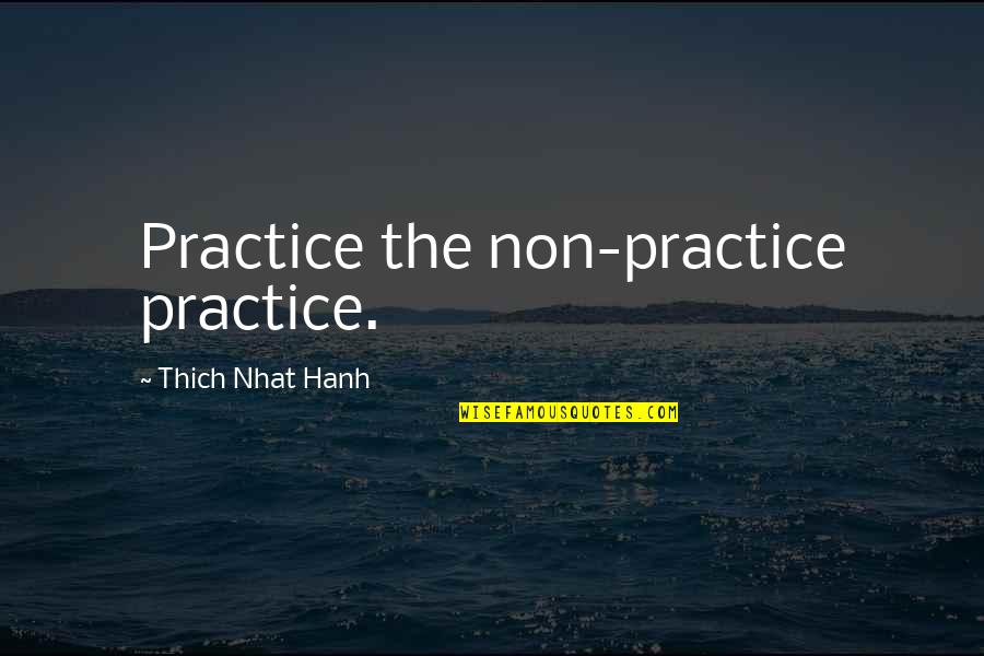 Wanderers Rest Quotes By Thich Nhat Hanh: Practice the non-practice practice.