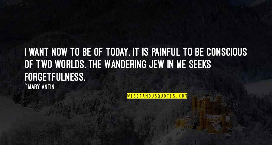 Wandering Jew Quotes By Mary Antin: I want now to be of today. It