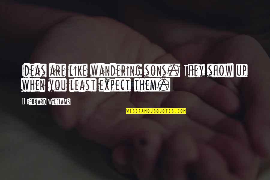 Wandering's Quotes By Bernard Williams: Ideas are like wandering sons. They show up