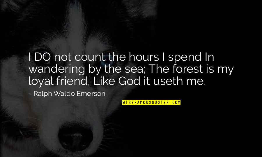 Wandering's Quotes By Ralph Waldo Emerson: I DO not count the hours I spend