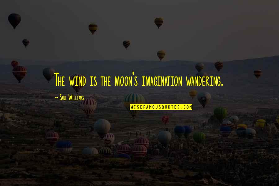 Wandering's Quotes By Saul Williams: The wind is the moon's imagination wandering.