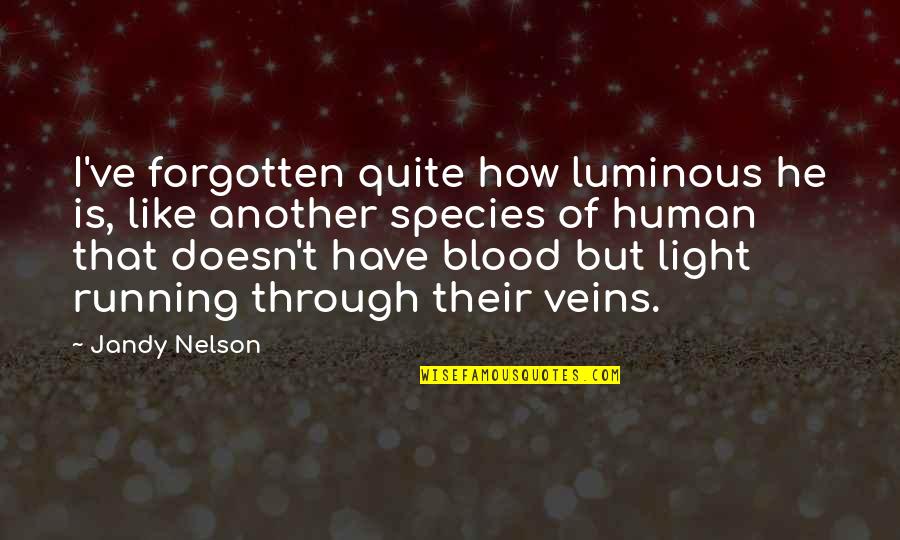 Waneek Quotes By Jandy Nelson: I've forgotten quite how luminous he is, like Waneek Quotes By Jandy Nelson: I've forgotten quite how luminous he is, like