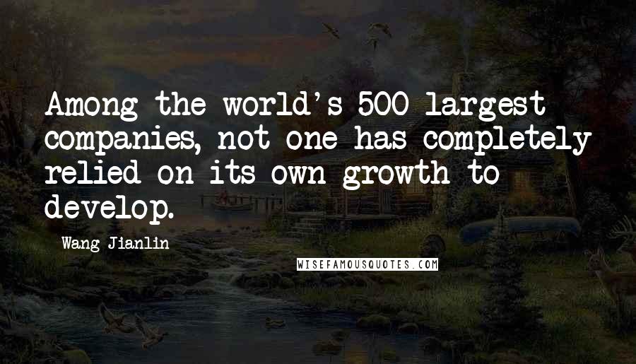Wang Jianlin quotes: Among the world's 500 largest companies, not one has completely relied on its own growth to develop.