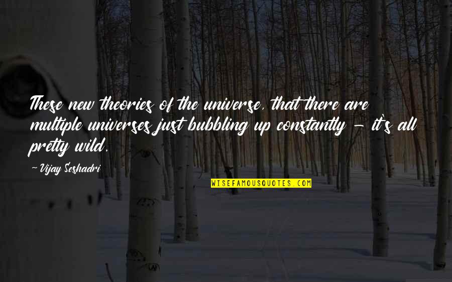 Wang Ming Dao Quotes By Vijay Seshadri: These new theories of the universe, that there