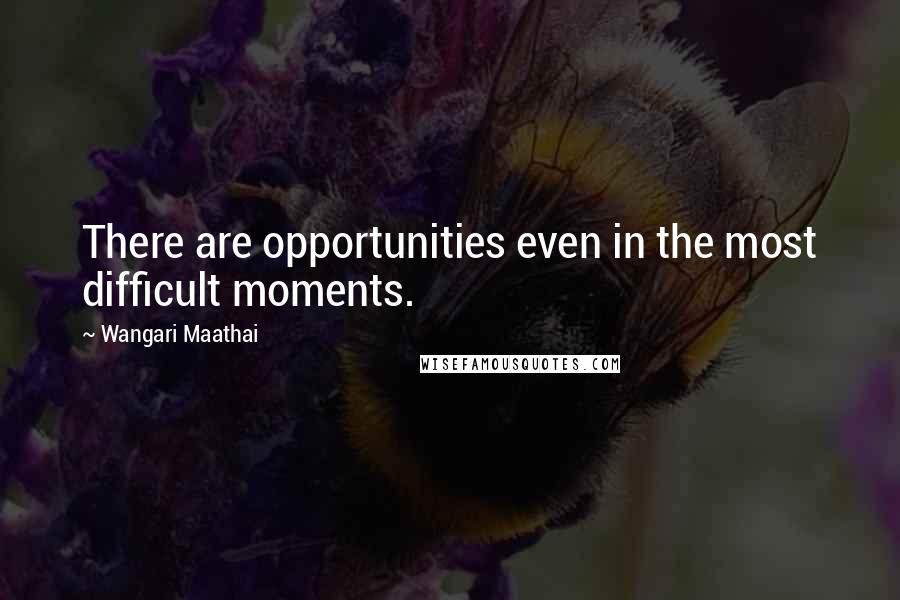 Wangari Maathai quotes: There are opportunities even in the most difficult moments.