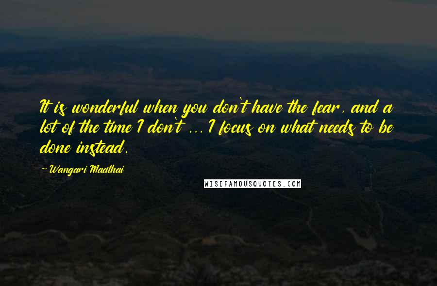 Wangari Maathai quotes: It is wonderful when you don't have the fear, and a lot of the time I don't ... I focus on what needs to be done instead.