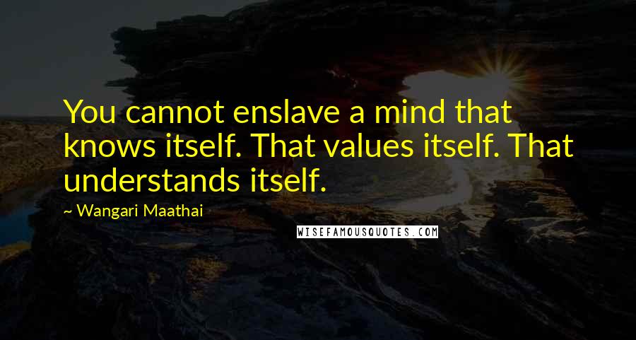 Wangari Maathai quotes: You cannot enslave a mind that knows itself. That values itself. That understands itself.