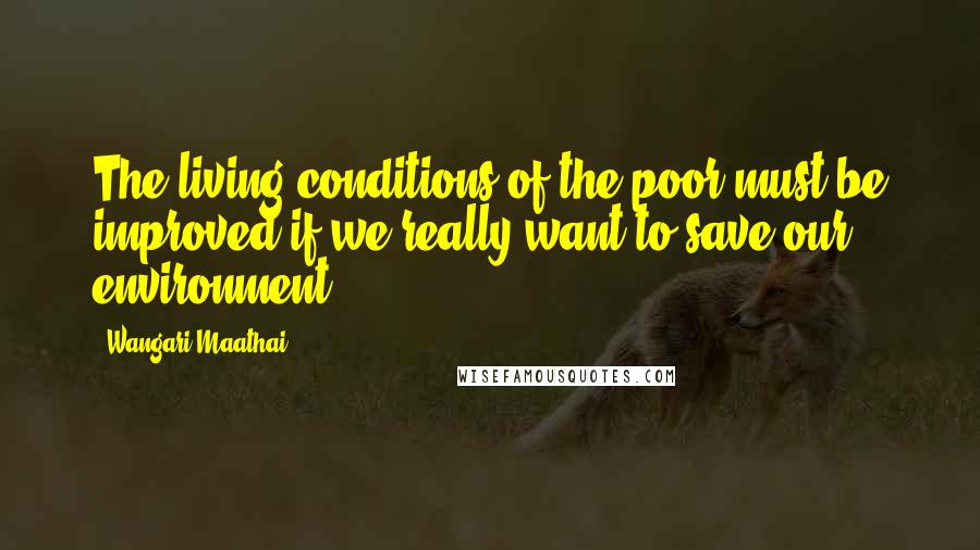 Wangari Maathai quotes: The living conditions of the poor must be improved if we really want to save our environment