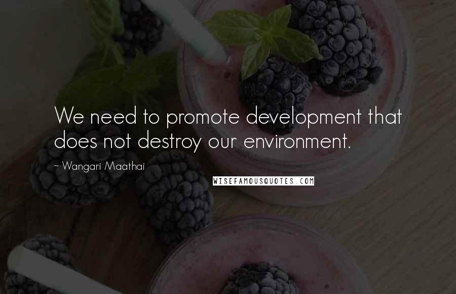 Wangari Maathai quotes: We need to promote development that does not destroy our environment.
