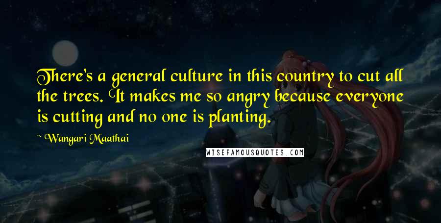 Wangari Maathai quotes: There's a general culture in this country to cut all the trees. It makes me so angry because everyone is cutting and no one is planting.