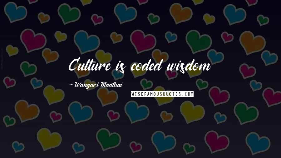 Wangari Maathai quotes: Culture is coded wisdom