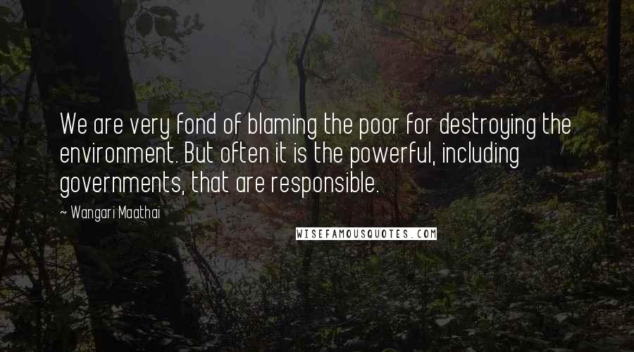 Wangari Maathai quotes: We are very fond of blaming the poor for destroying the environment. But often it is the powerful, including governments, that are responsible.