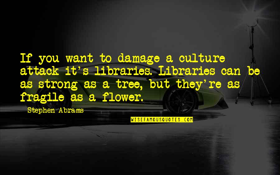 Wanna Make Things Right Quotes By Stephen Abrams: If you want to damage a culture -