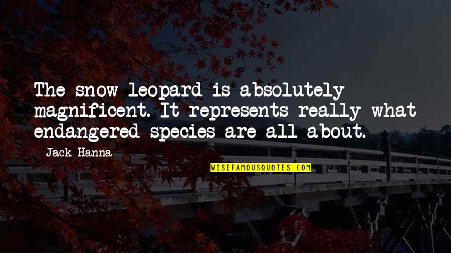 Wannasurf Quotes By Jack Hanna: The snow leopard is absolutely magnificent. It represents Wannasurf Quotes By Jack Hanna: The snow leopard is absolutely magnificent. It represents