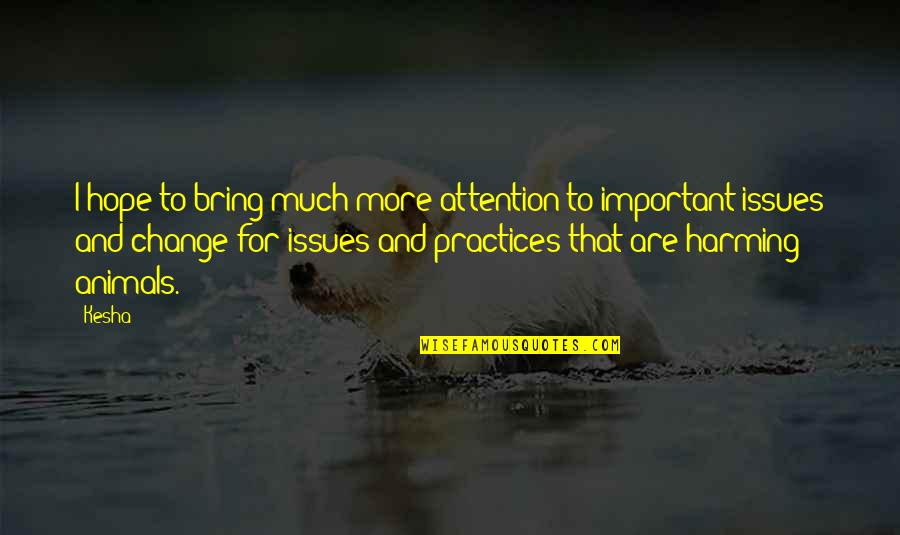 Wannasurf Quotes By Kesha: I hope to bring much more attention to Wannasurf Quotes By Kesha: I hope to bring much more attention to