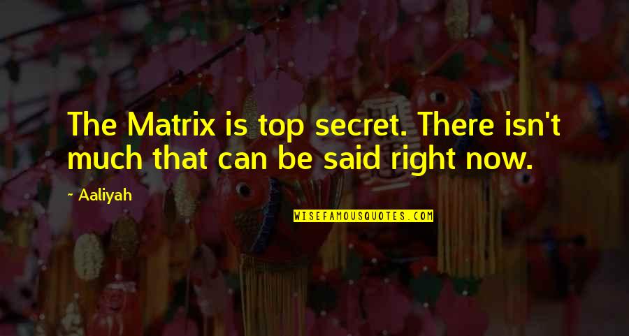 Wansink Experiment Quotes By Aaliyah: The Matrix is top secret. There isn't much