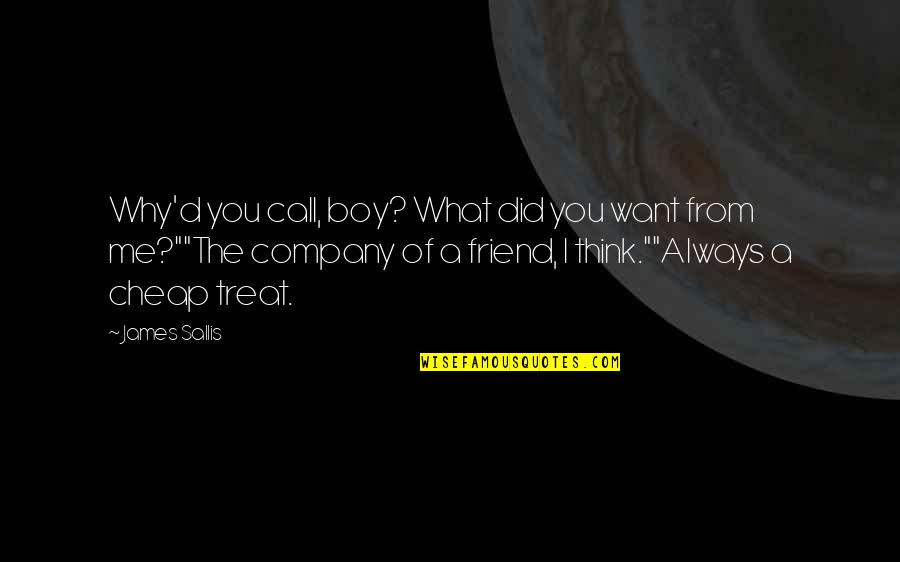 Want Friendship Quotes By James Sallis: Why'd you call, boy? What did you want