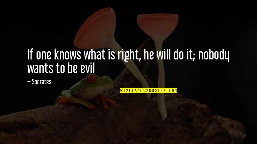 Want He Do It Quotes By Socrates: If one knows what is right, he will