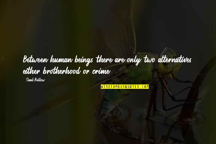 Want Needs Possesions Quotes By Saul Bellow: Between human beings there are only two alternatives,
