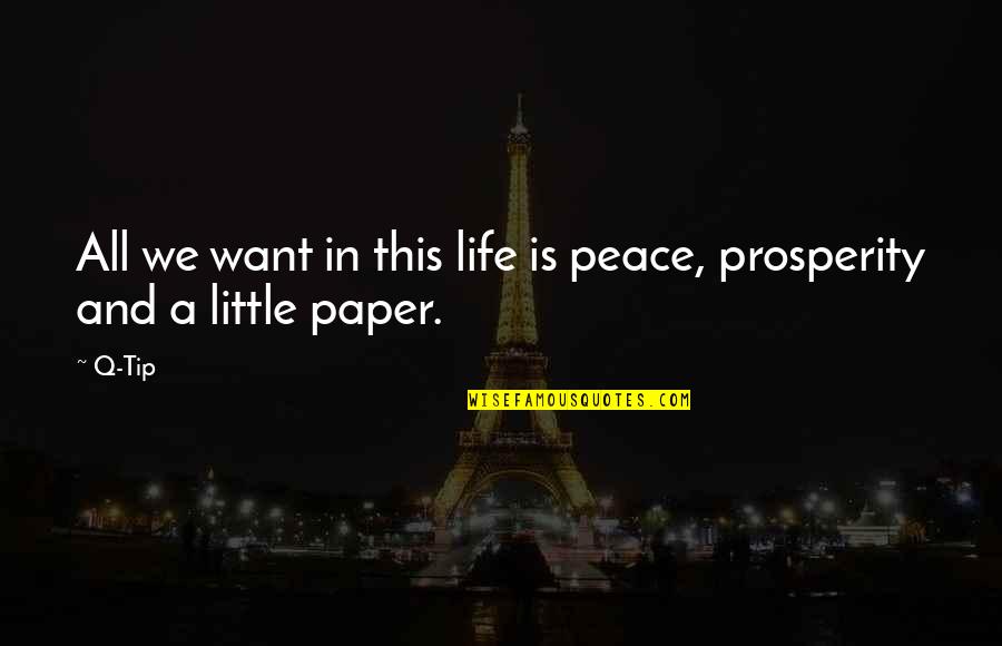 Want Peace In Life Quotes By Q-Tip: All we want in this life is peace,