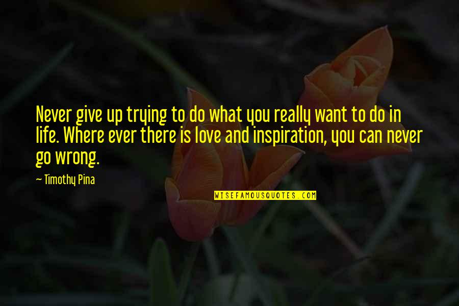 Want Peace In Life Quotes By Timothy Pina: Never give up trying to do what you