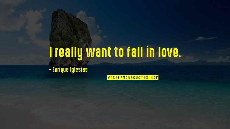 Want To Fall In Love Quotes By Enrique Iglesias: I really want to fall in love.