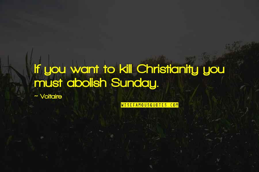 Want To Kill Quotes By Voltaire: If you want to kill Christianity you must
