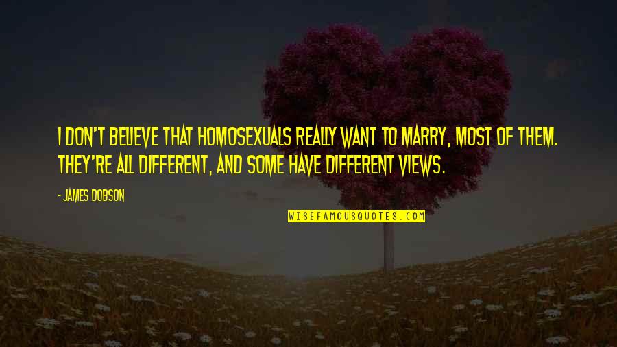 Want To Marry Quotes By James Dobson: I don't believe that homosexuals really want to