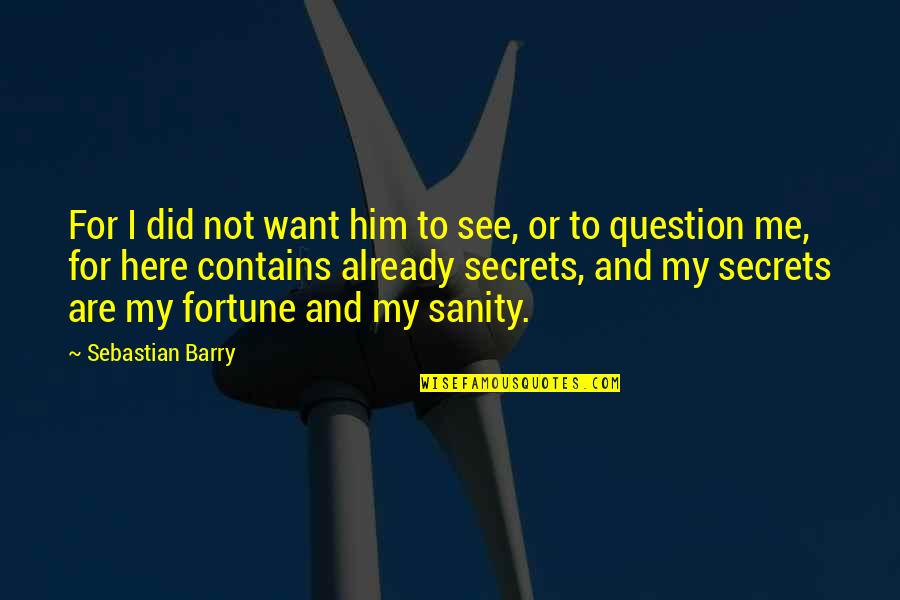 Want To See Him Quotes By Sebastian Barry: For I did not want him to see,