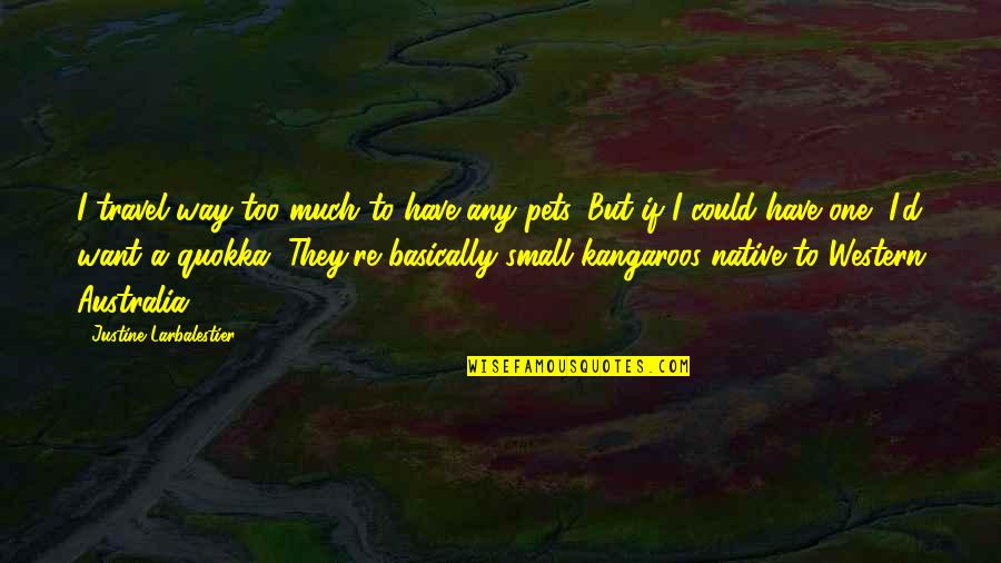 Want To Travel Quotes By Justine Larbalestier: I travel way too much to have any