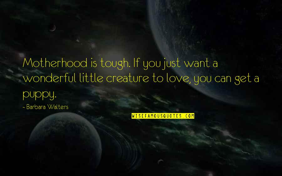 Want You Love Quotes By Barbara Walters: Motherhood is tough. If you just want a