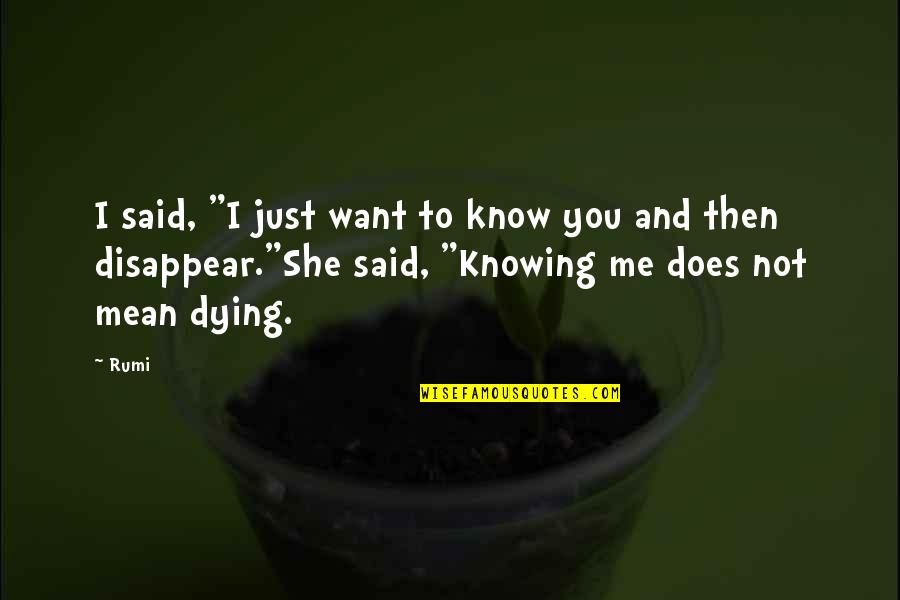 Want You To Know I Love You Quotes By Rumi: I said, "I just want to know you