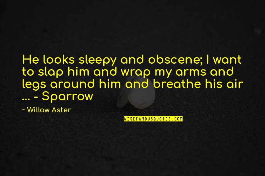Want Your Arms Quotes By Willow Aster: He looks sleepy and obscene; I want to Want Your Arms Quotes By Willow Aster: He looks sleepy and obscene; I want to