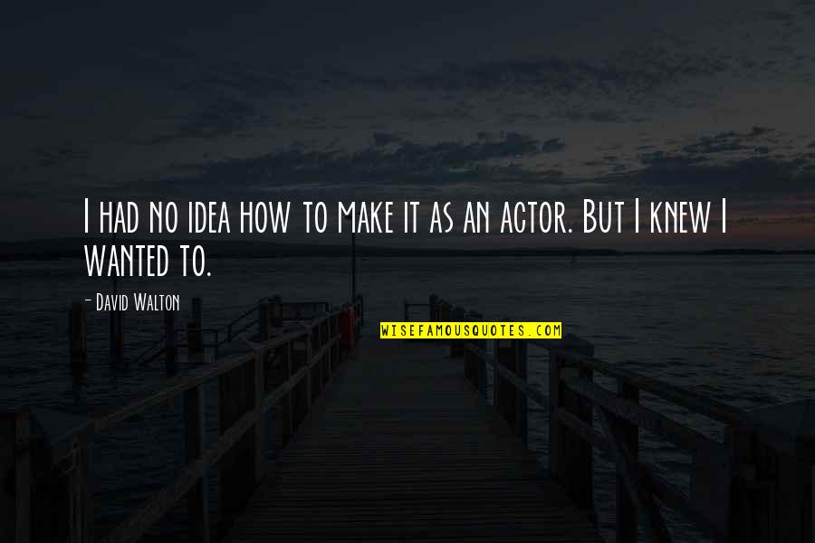 Wanted It Quotes By David Walton: I had no idea how to make it