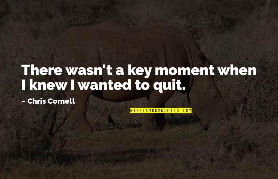 Wanted To Quit Quotes By Chris Cornell: There wasn't a key moment when I knew