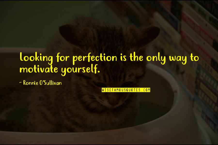 Wanting Another Man Quotes By Ronnie O'Sullivan: Looking for perfection is the only way to