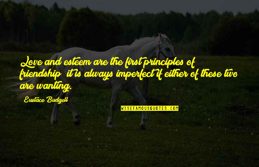 Wanting More Than Friendship Quotes By Eustace Budgell: Love and esteem are the first principles of
