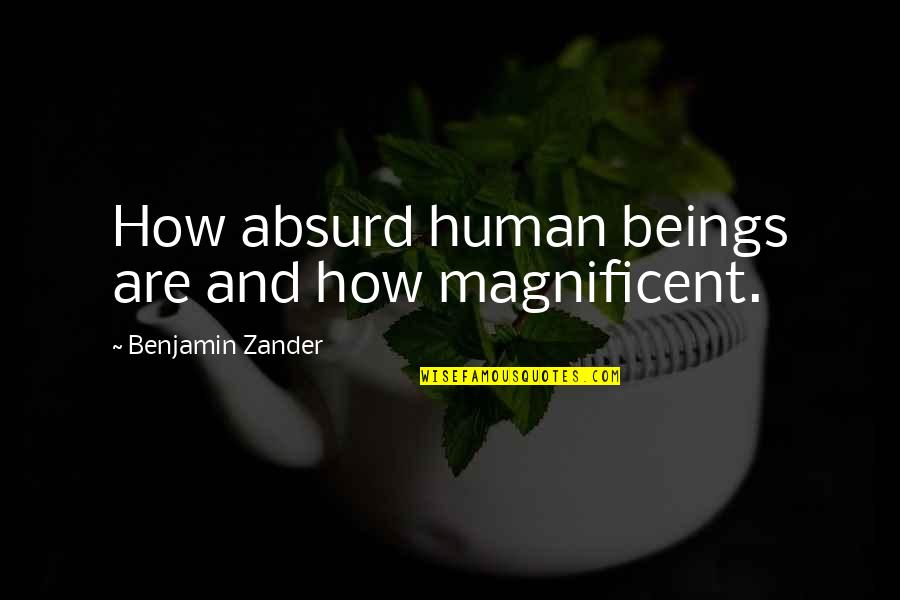 Wanting Someone At The Wrong Time Quotes By Benjamin Zander: How absurd human beings are and how magnificent.