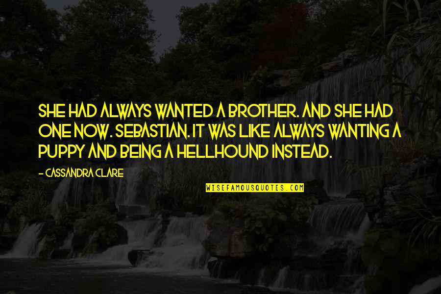 Wanting To Be Wanted Quotes By Cassandra Clare: She had always wanted a brother. And she Wanting To Be Wanted Quotes By Cassandra Clare: She had always wanted a brother. And she