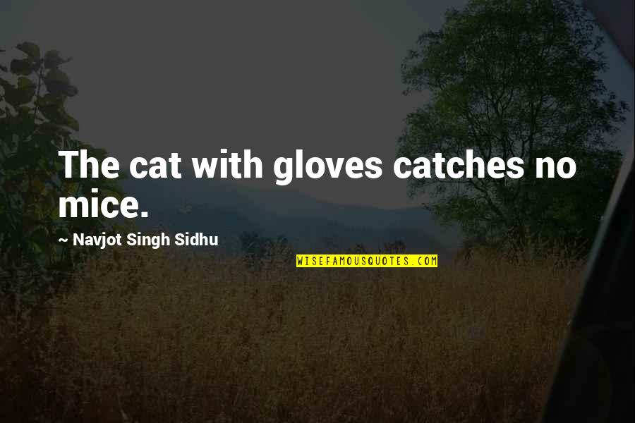Wanting To Give Up On Everything Quotes By Navjot Singh Sidhu: The cat with gloves catches no mice.