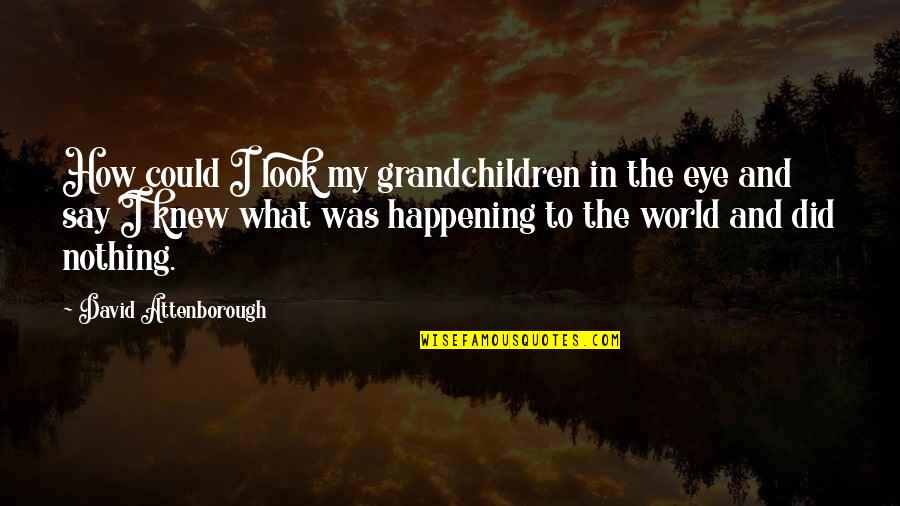 Wanting To Hide From The World Quotes By David Attenborough: How could I look my grandchildren in the Wanting To Hide From The World Quotes By David Attenborough: How could I look my grandchildren in the