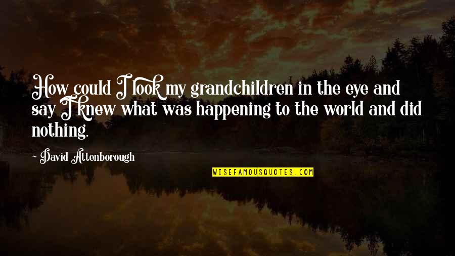 Wanting To Hide From The World Quotes By David Attenborough: How could I look my grandchildren in the